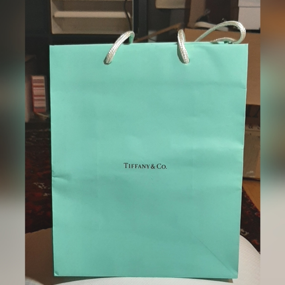 TIFFANY & CO. | Teal Shopping Bag & Jewelry Pouch